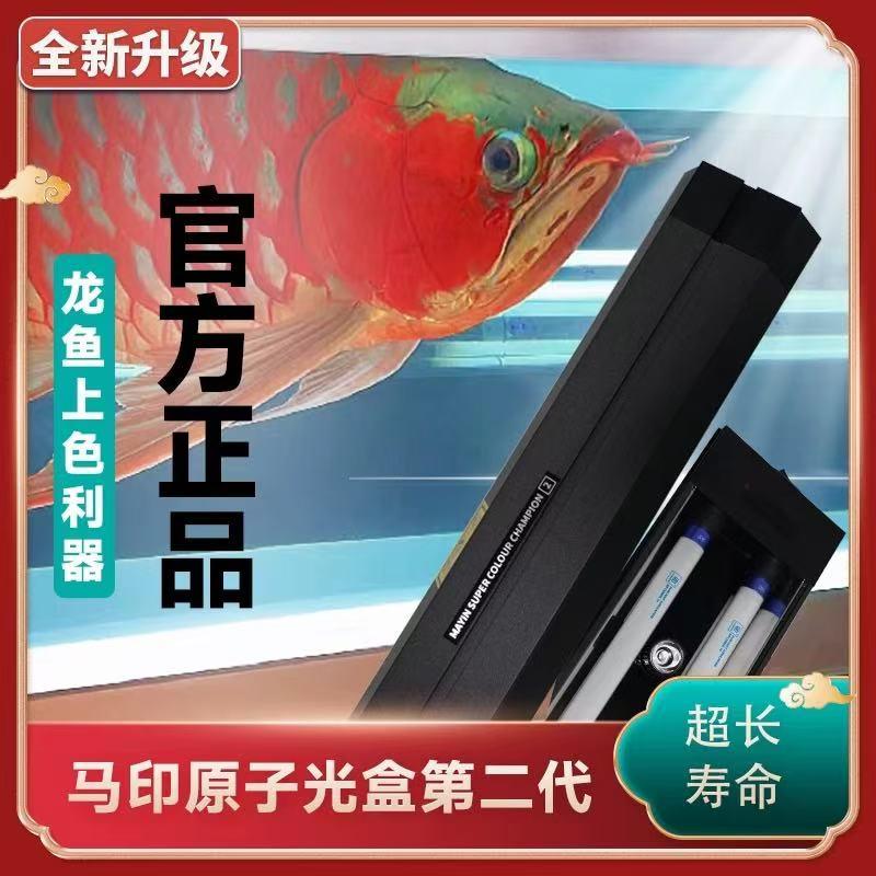 原子光盒灯盘龙鱼灯专用