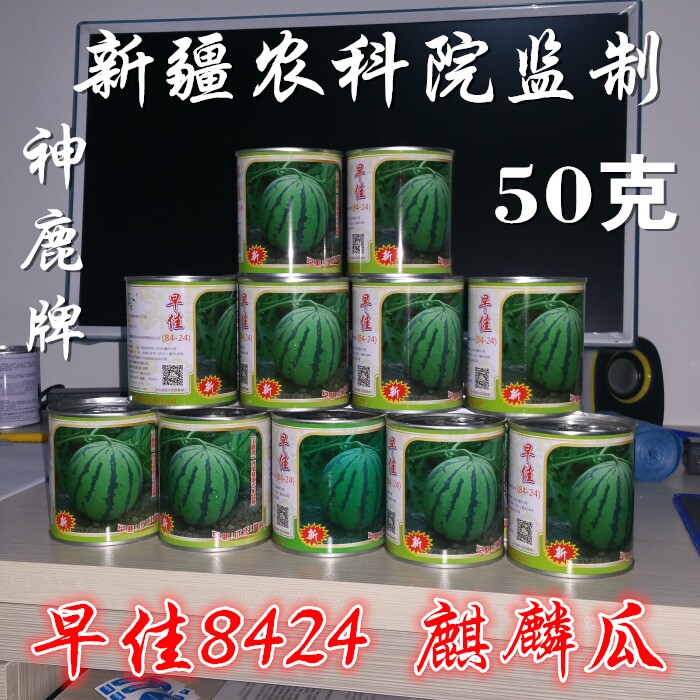 神鹿牌早佳8424西瓜种子新疆天山高产甜早熟吴明珠教授西瓜种孑