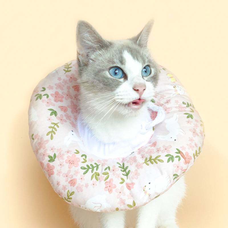 宠物伊丽莎白圈仓鼠兔子猫咪狗狗项圈耻辱圈绝育脖套颈头套沙白圈,宠物/宠物食品及用品,宠物伊丽莎白圈,淘宝优惠券,粉丝福利购,淘宝优惠卷
