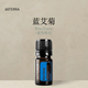 按摩滋养皮肤涂抹保湿 多特瑞 蓝艾菊单方精油5ml官网doterra正品