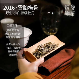 雪胎梅骨.2016年磻溪霜冻荒野小白特级牡丹雪一样胎体梅一般风骨
