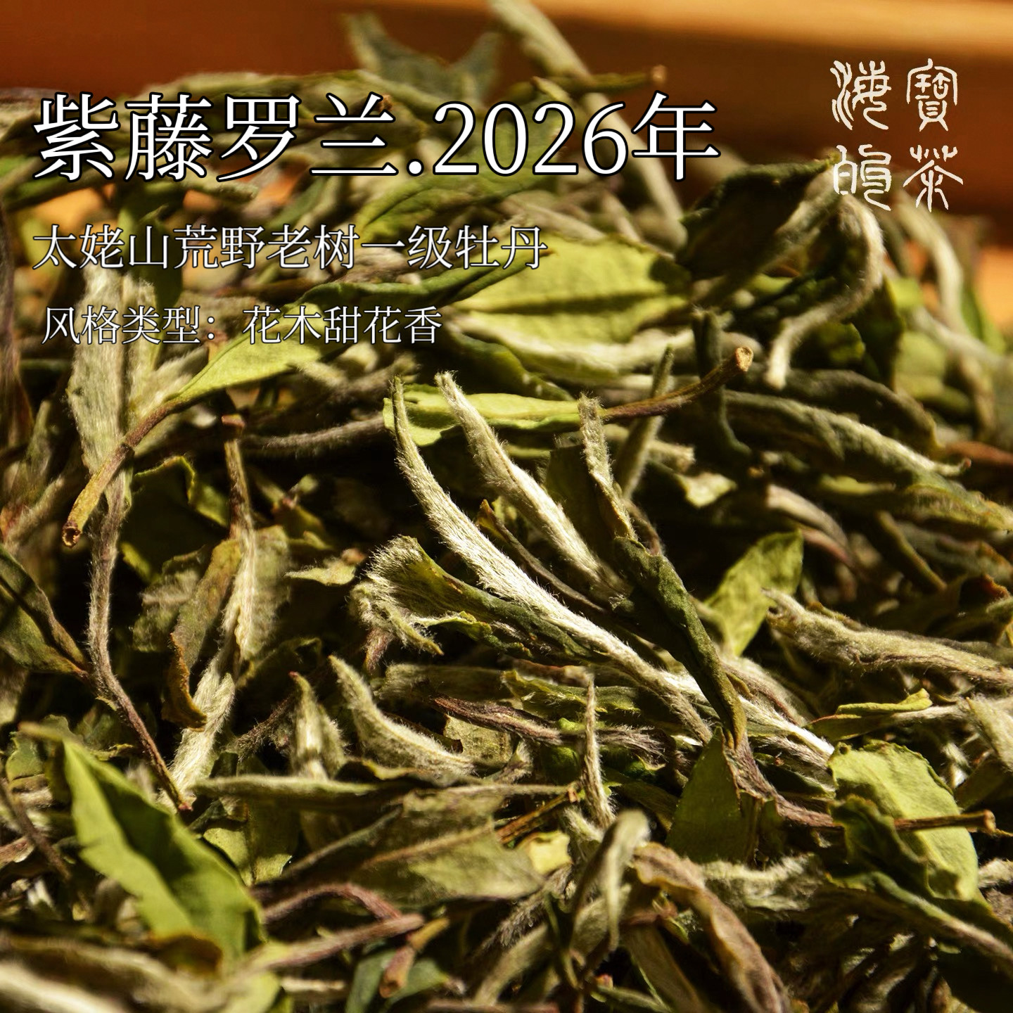 紫藤萝兰.2026年太姥山荒野老树牡丹掌柜监督制品质zui好的一年
