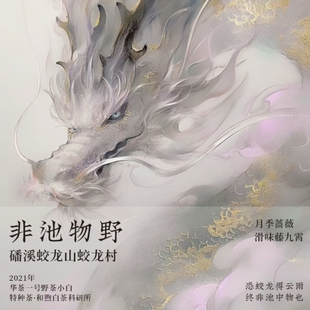 非池物野.2021年磻溪蛟龙山华茶1号小白牡丹