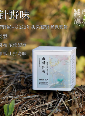 山针野味2022年管阳荒野老枞银针毫香果甜松茸菌菇可可参香体感强