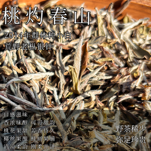 野弥系列.桃灼春山.2014年荒野群体种野生小白银针