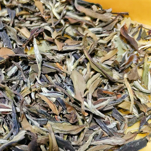 紫芽野王.2020年管阳紫芽野王群体种醇厚超前转化可可香野葡萄