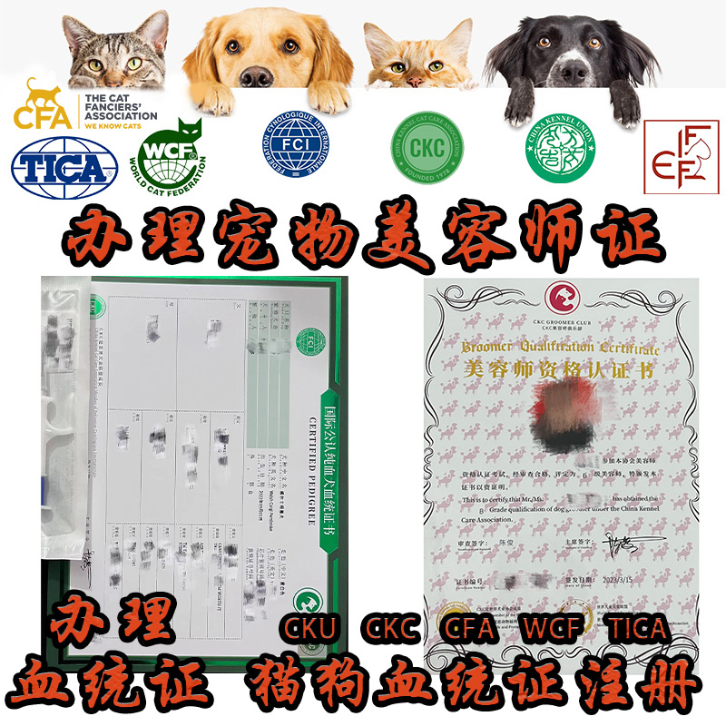 WCF CFA TICA CKU CKC宠物猫狗犬血统证书出生纸美容师证