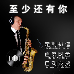 至少还有你 萨克斯谱单簧管长笛小提琴谱扒谱服务皮皮音乐