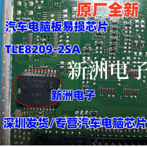 原厂全新 TLE8209-2SA  汽车电脑板节气门怠速芯片 现货