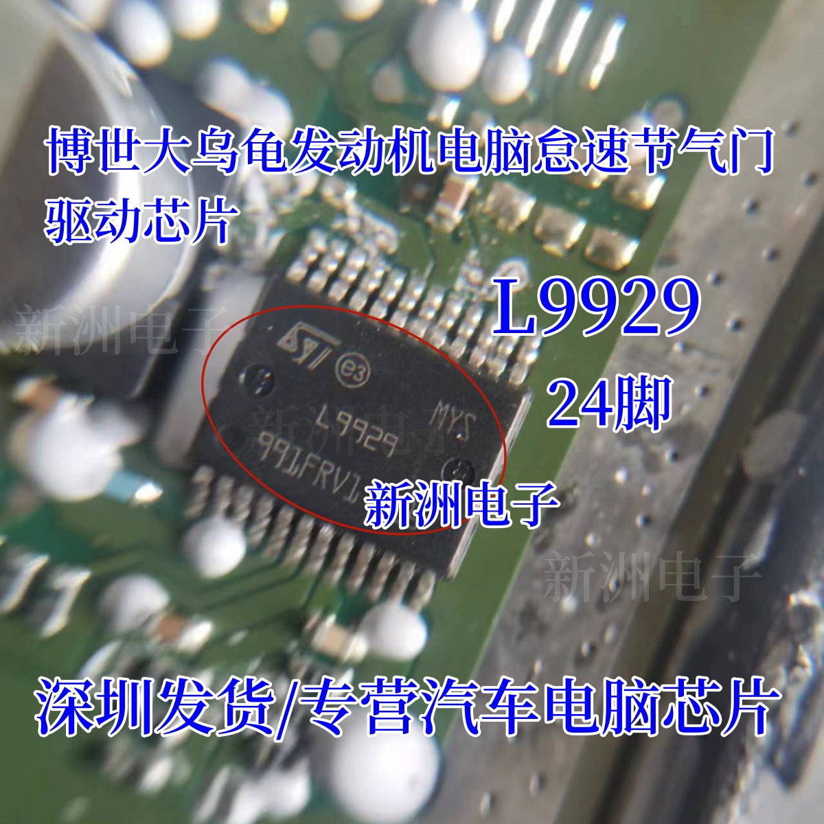 L9929 L9929XP 适用大乌龟发动机电脑怠速节气门驱动芯片24脚批发