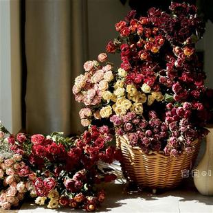 多头玫瑰干花花束云南单头玫瑰蔷薇泡泡真花滴胶花材干花相框