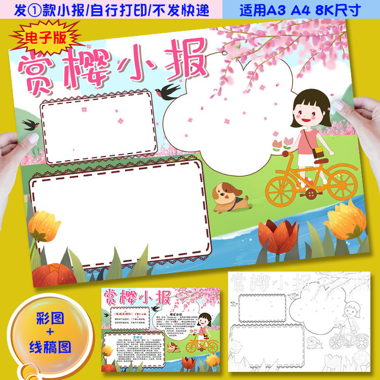 x03赏樱花小报春天郊游赏樱手抄报电子模板涂色黑白线稿图