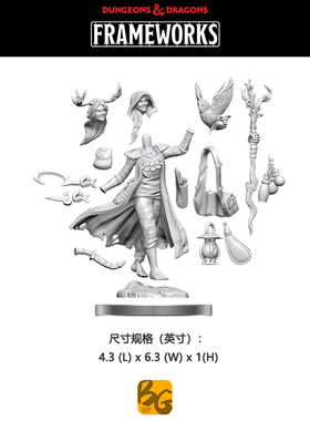 【桌游乱炖】人类德鲁伊 女 龙与地下城模型 DND FRAMEWORKS