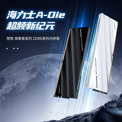 梵想DDR56000海力士内存条