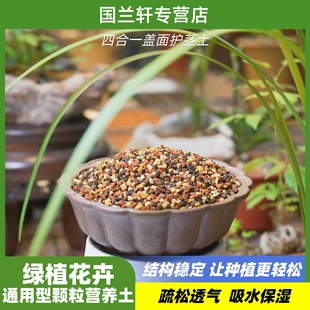 四合一兰科盆景盖面护茎土透气保湿沥水通用颗粒植料营养土