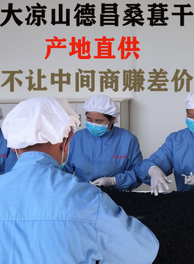 大凉山黑桑葚干10斤装新鲜黑桑甚果无沙桑椹干桑子非新疆桑葚果干
