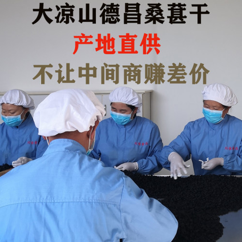 纯正原味桑葚干大包装