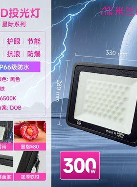 LED投光灯磨砂玻璃防眩目球场灯仓库户外照明车间射灯强白光防雨