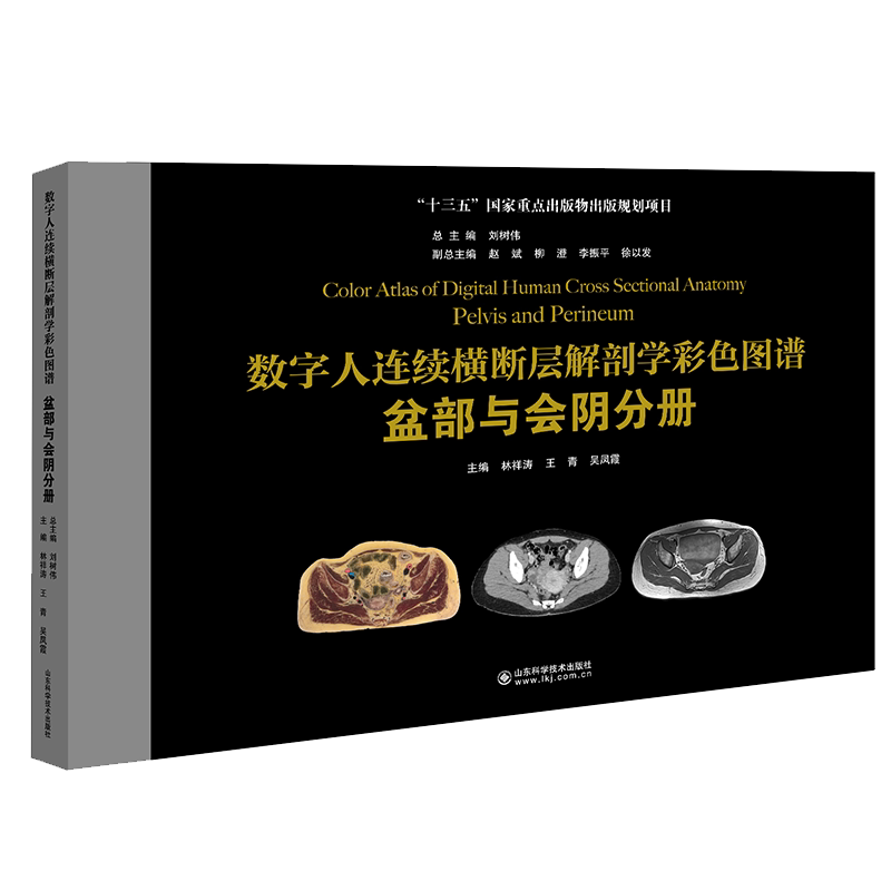 现货正版 数字人连续横断层解剖学彩色图谱盆部与会阴分册于德新等主编山东科学技术出版社9787572306785