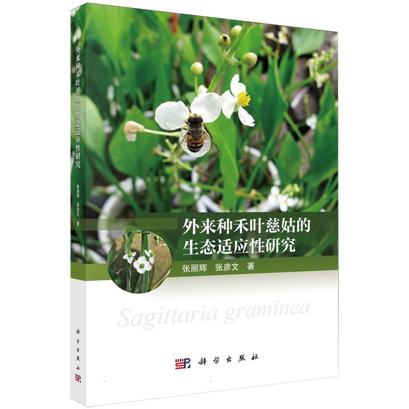 正版全新 平装 外来种禾叶慈姑的生态适应性研究 张丽辉 科学出版社 9787030799333