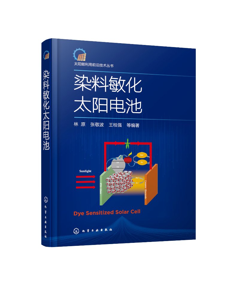 正版现货太阳能利用前沿技术丛书--染料敏化太阳电池林原、张敬波、王桂强等编著 1化学工业出版社
