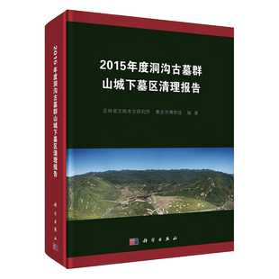 现货2015年度洞沟古墓群山城下墓区清理报告科学出版社
