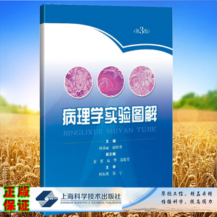 现货正版 病理学实验图解 第3版 何彦丽 赵婷秀 主编 上海科学技术出版社9787547857007