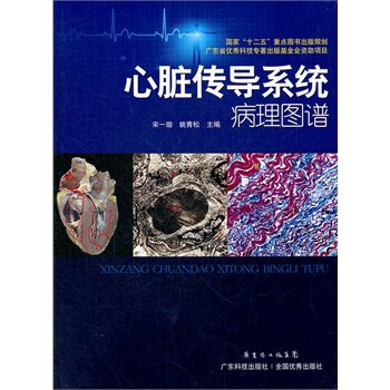 心脏传导系统病历图谱