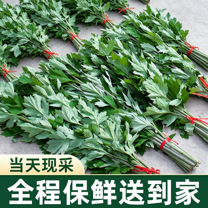 新鲜艾草整棵带杆挂门上家用干艾蒿鲜艾端午节艾叶花束门挂