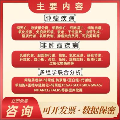DFT计算/第一性原理计算/高斯/VASP/MS/DFT理论计算/模拟计算代算