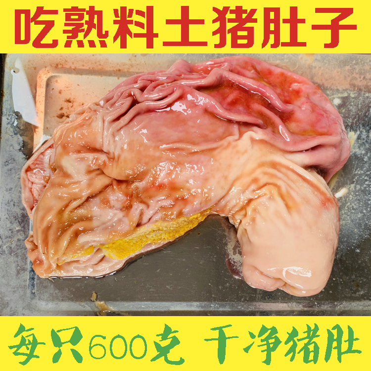 新鲜猪肚子  吃熟料猪肚子农家散养鲜猪肚 600克一只顺丰包邮