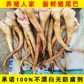 火烧去毛拒绝沥青漂白剂 农家猪鲜尾巴 1000克省内 生猪尾巴 包邮