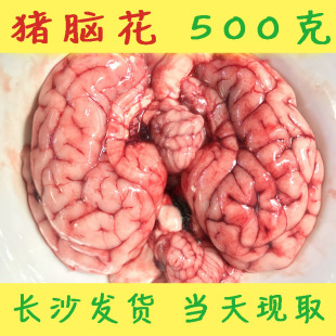 新鲜猪脑 生鲜猪脑火锅食材猪脑花 500克省内包邮 猪脑花新鲜发货