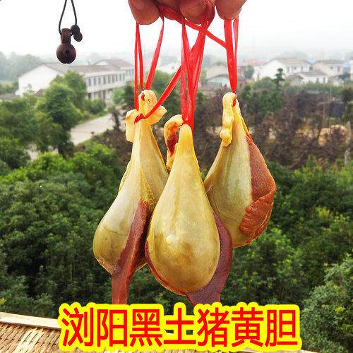 浏阳土猪胆 新鲜猪胆 浏阳黑土猪黄苦胆  黑猪胆 纯猪苦胆猪胆粉
