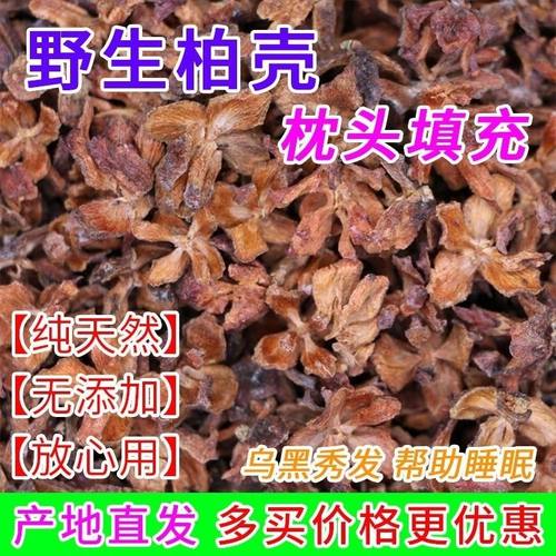 野生侧柏果新鲜柏树籽中药材泡酒