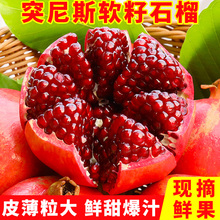包邮 无籽石榴大果整箱 四川会理时令新鲜孕妇水果 突尼斯软籽石榴
