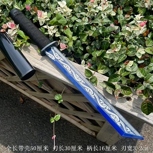 家居荒野高性能练习唐横刀武术短刀影视求生一体武器冷兵器未开刃