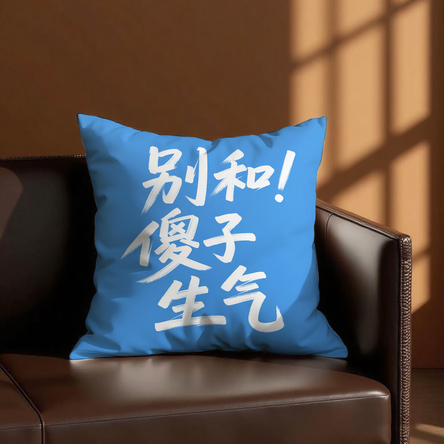 篮底白字别和傻子生气抱枕含芯桃皮绒含枕芯靠背小众网红双面图案