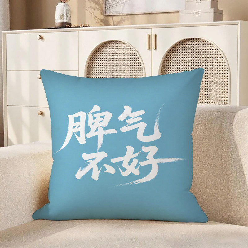 篮底白字脾气不好抱枕含芯宝宝绒小清新ins风暴富方形枕头励志靠