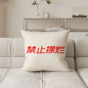 白底红字禁止摆烂抱枕含芯桃皮绒腰靠靠背护腰含枕芯暴富汽车文艺
