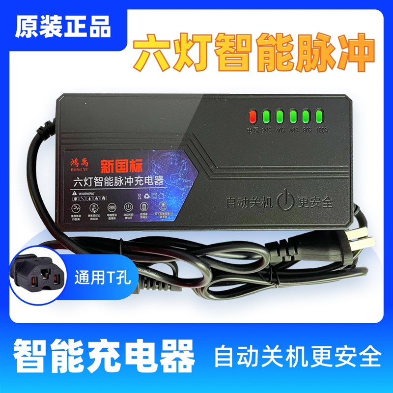 六灯智能脉冲自动断电两轮三轮电动车充电器48v20Ah60v20Ah72v20A