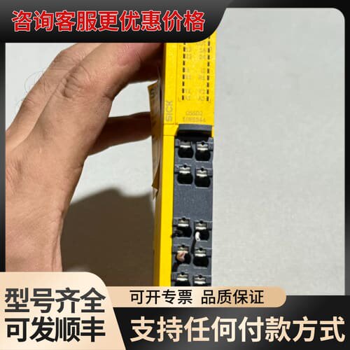 议价安全继电器RLY3-0SSD2-C4RD货号108534可维修