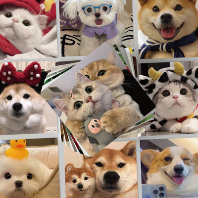 100张可爱小猫咪和小狗贴纸高颜值手账手机壳笔记本桌面装饰防水