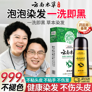 云南本草泡泡染发剂一洗黑天然植物纯膏王丽云代言染发无刺激