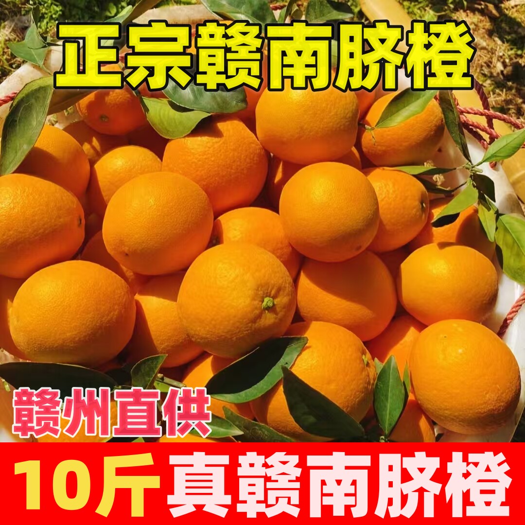 正宗赣南脐橙产地直发10斤大果