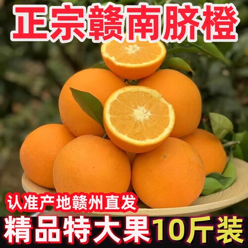 赣南脐橙橙子新鲜赣州产地直发