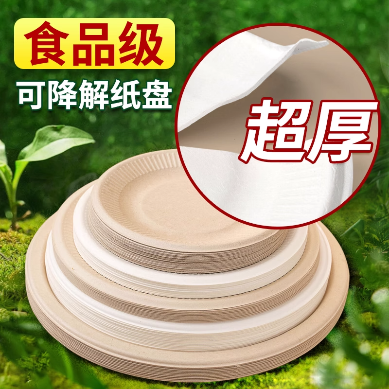 一次性餐盘餐具食品级盘子碗筷碟子加厚纸盘可降解画画烧烤家用商