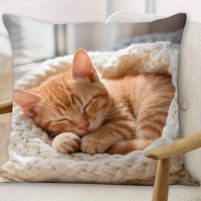 睡觉猫咪系列印花抱枕可爱客厅沙发摆件跨境爆款含芯床头飘窗腰枕