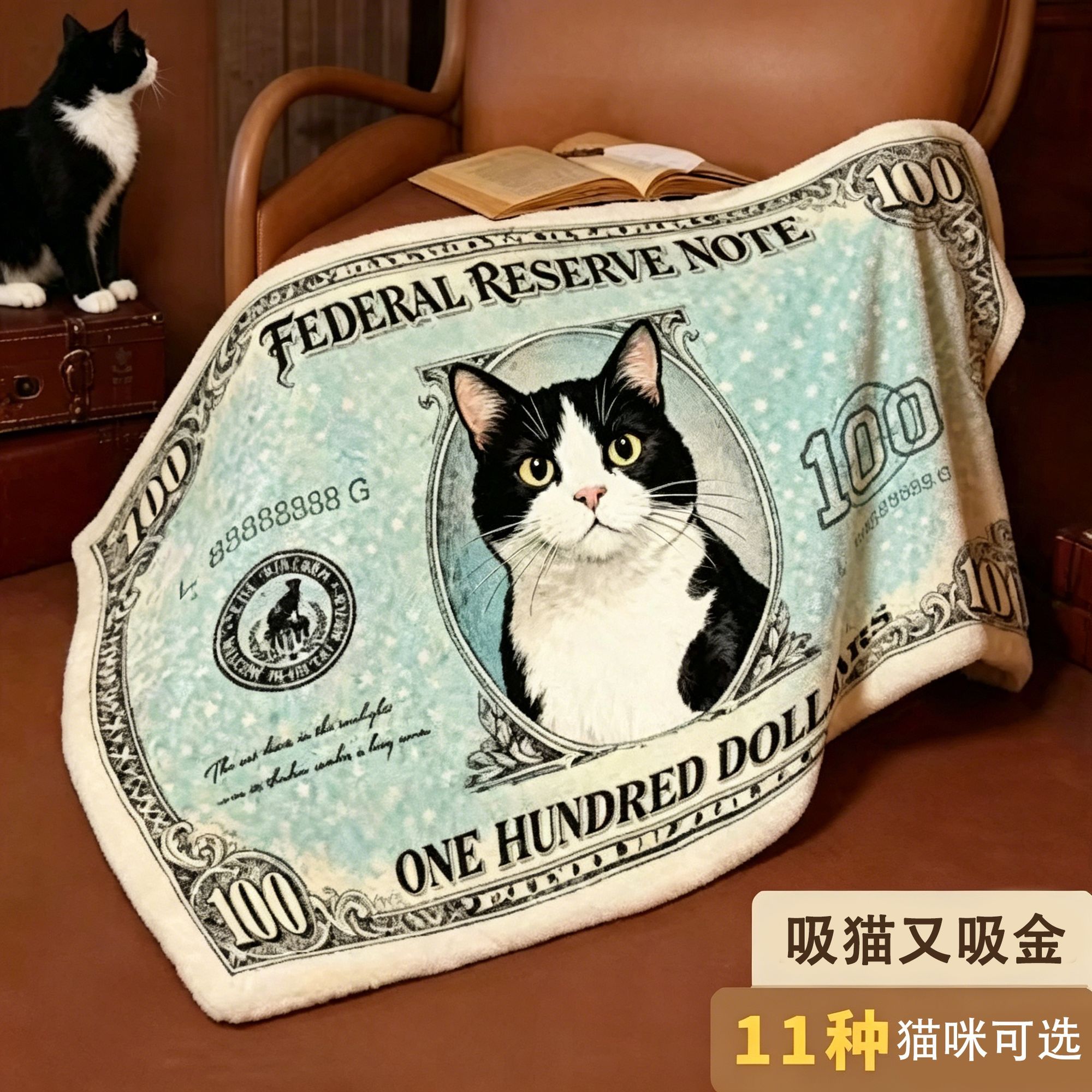 猫咪美元创意法兰绒毛毯宠物保暖沙发午睡毯办公室空调披肩盖腿毯