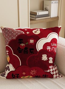 红色抱枕家用沙发客厅靠垫腰靠方形车用床头床上靠枕喜庆含芯抱枕
